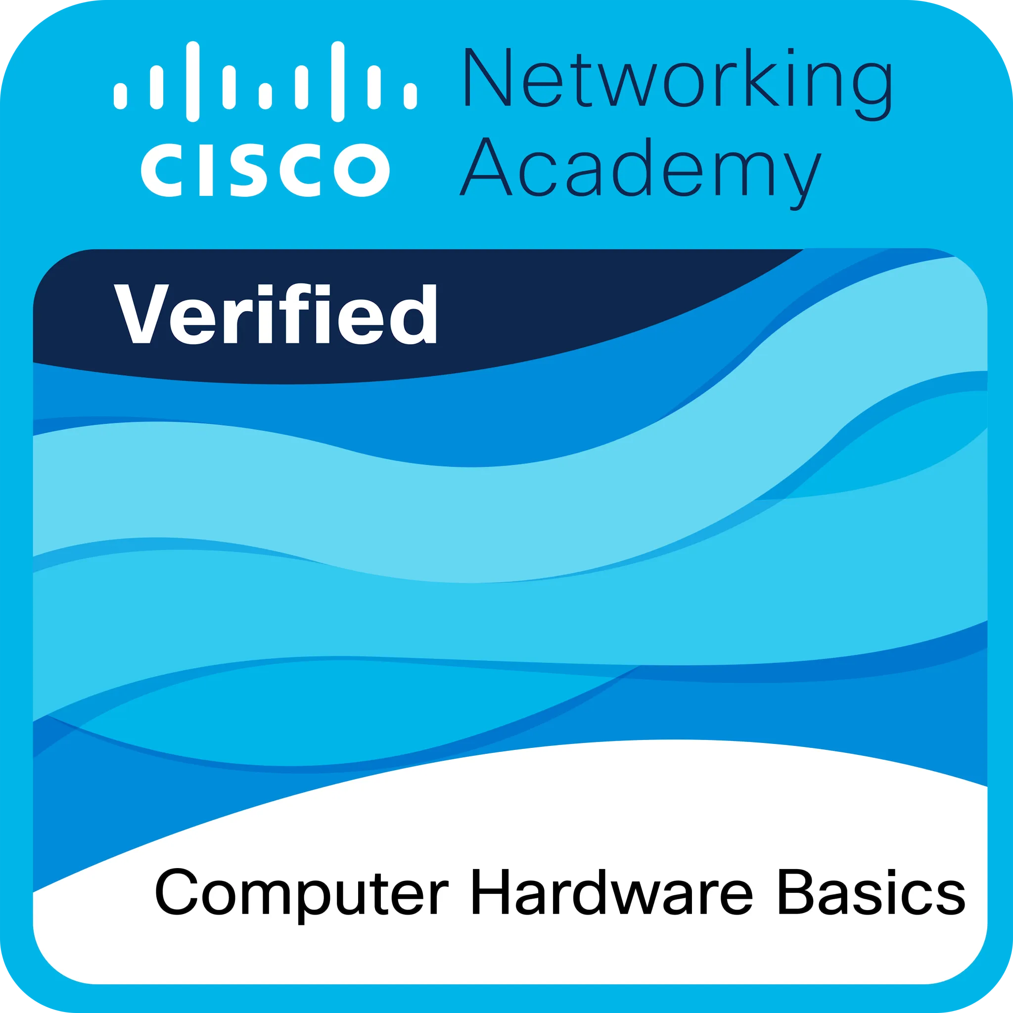 Cisco: Computer Hardware Basics